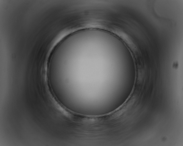 X0000102011286200807181219