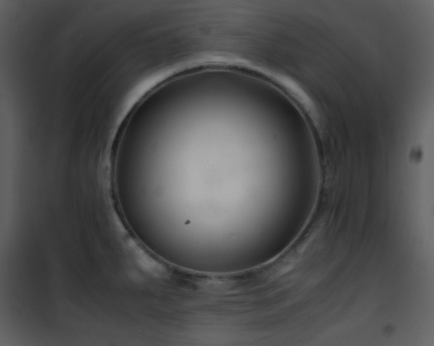 X0000102011287200807181219