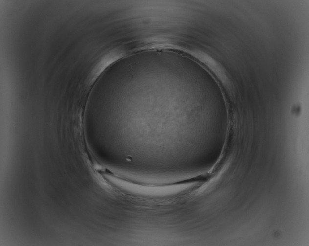 X0000102011289200807181219