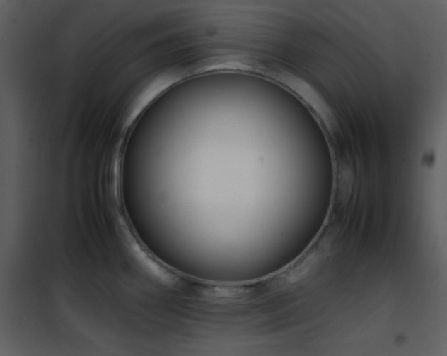 X0000102011290200807181219