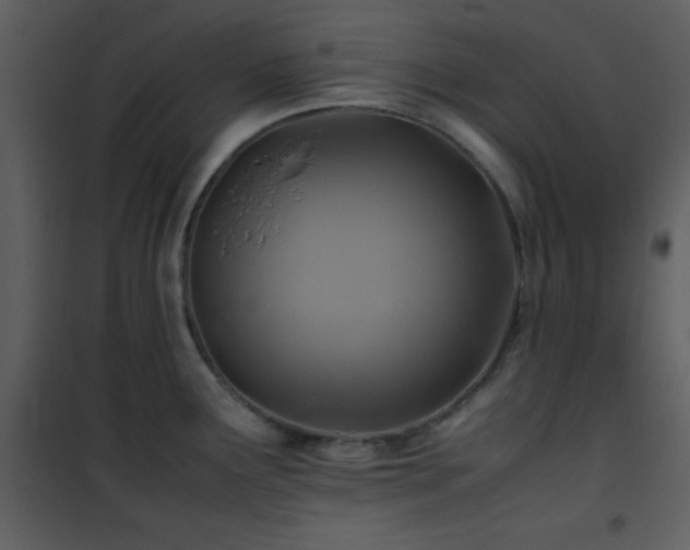 X0000102011291200807181219