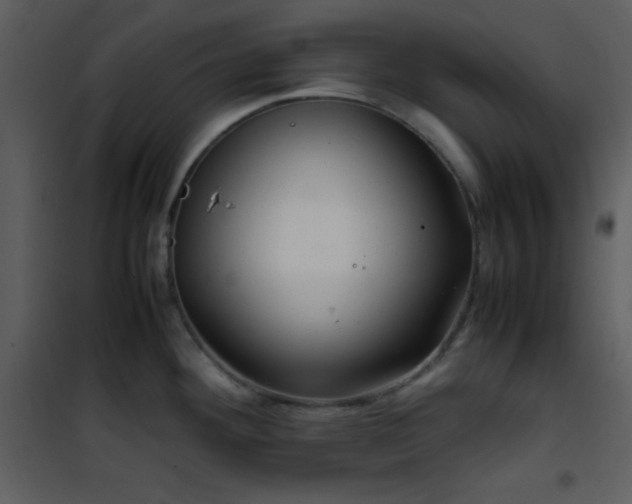 X0000102011292200807181219