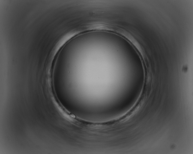 X0000102011293200807181219