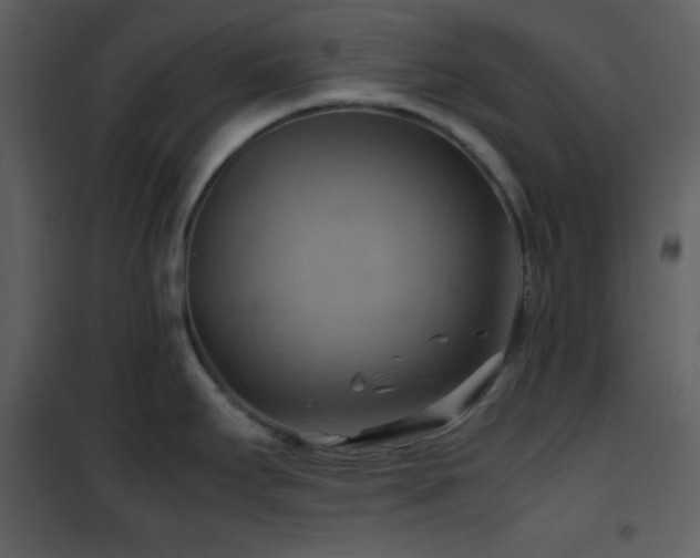 X0000102011295200807181219