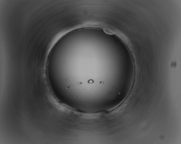 X0000102011296200807181219