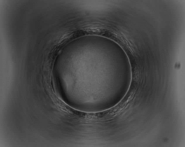 X0000102011297200807181219