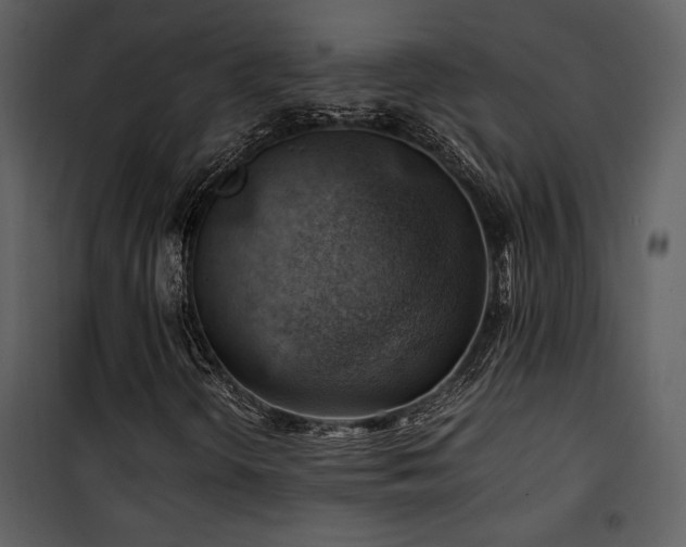 X0000102011298200807181219