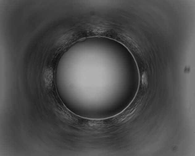 X0000102011299200807181219
