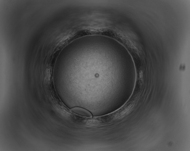 X0000102011300200807181219