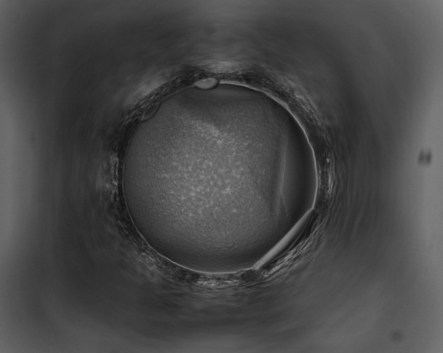 X0000102011301200807181219