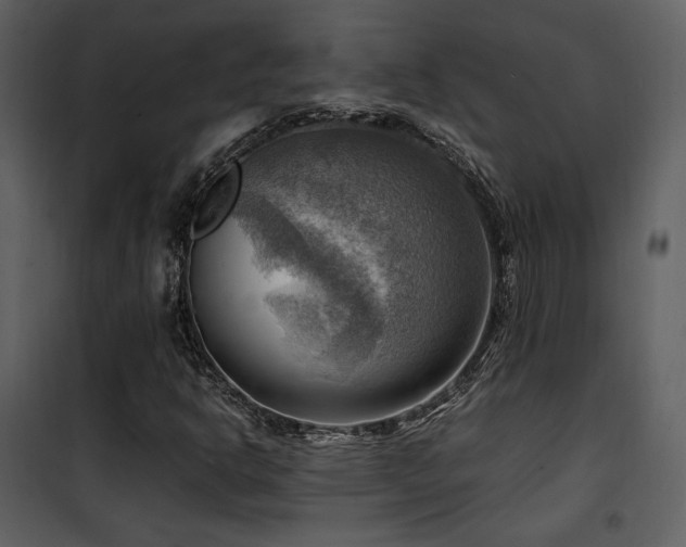 X0000102011302200807181219