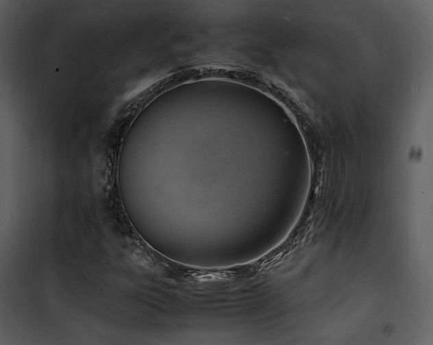 X0000102011303200807181219