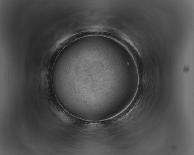 X0000102011304200807181219