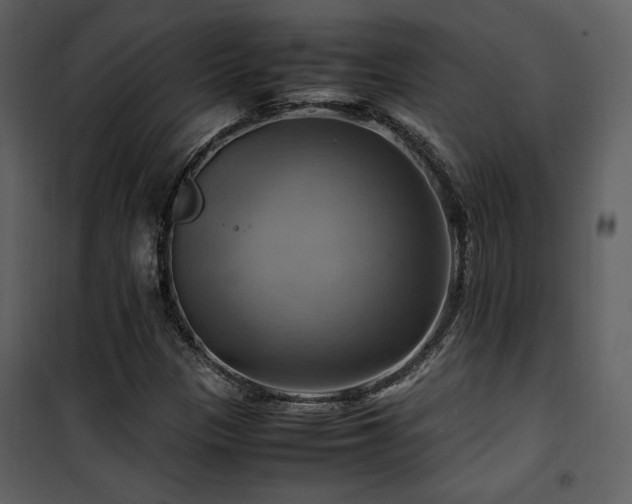 X0000102011305200807181219