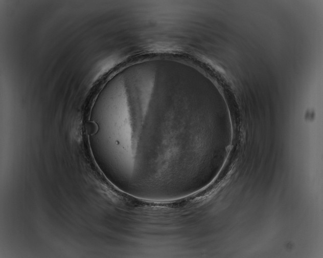 X0000102011306200807181219