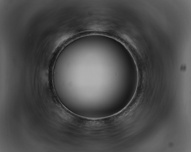 X0000102011307200807181219
