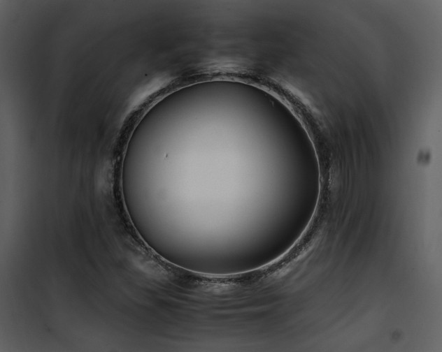 X0000102011309200807181219