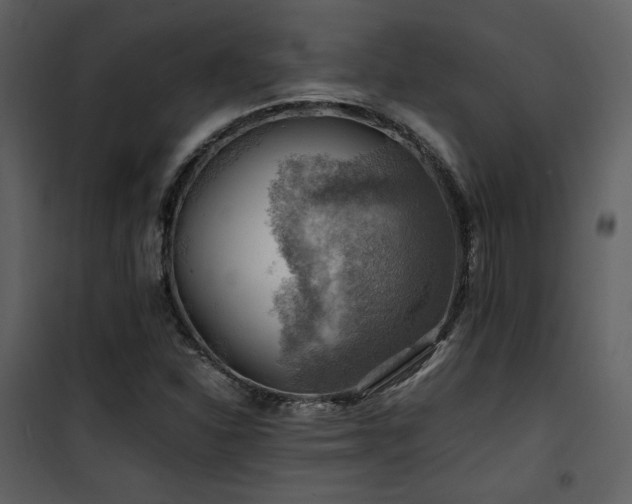 X0000102011310200807181219