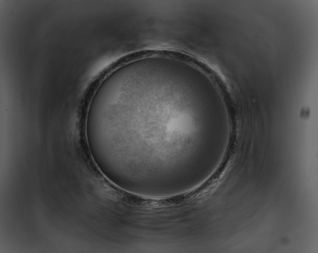X0000102011311200807181219