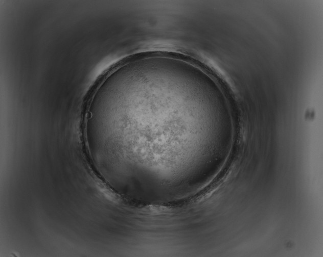 X0000102011312200807181219