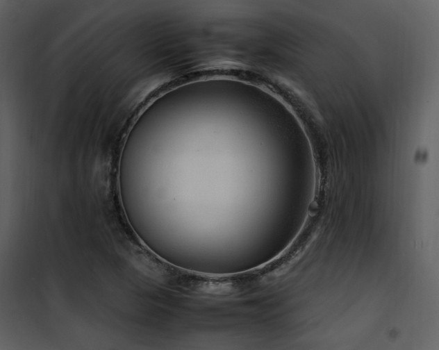 X0000102011313200807181219