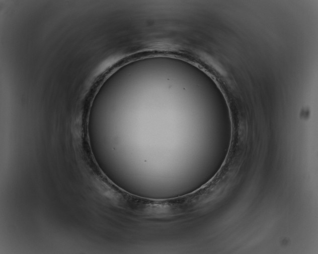X0000102011315200807181219