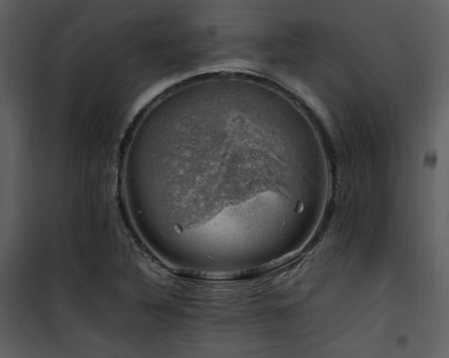 X0000102011316200807181219