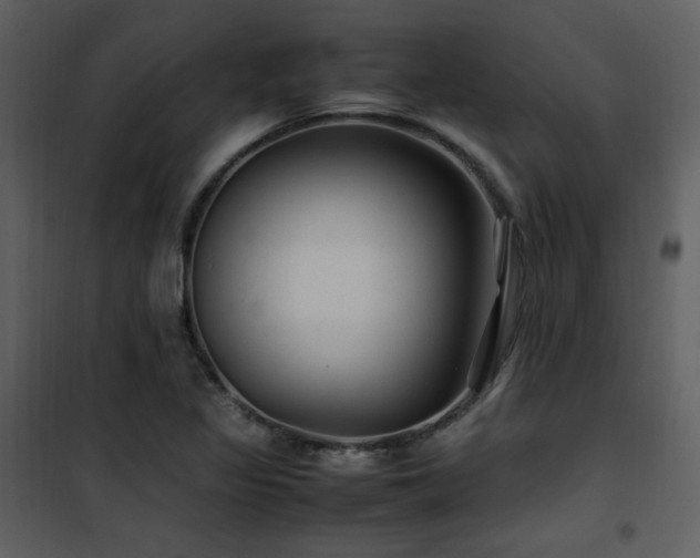 X0000102011317200807181219