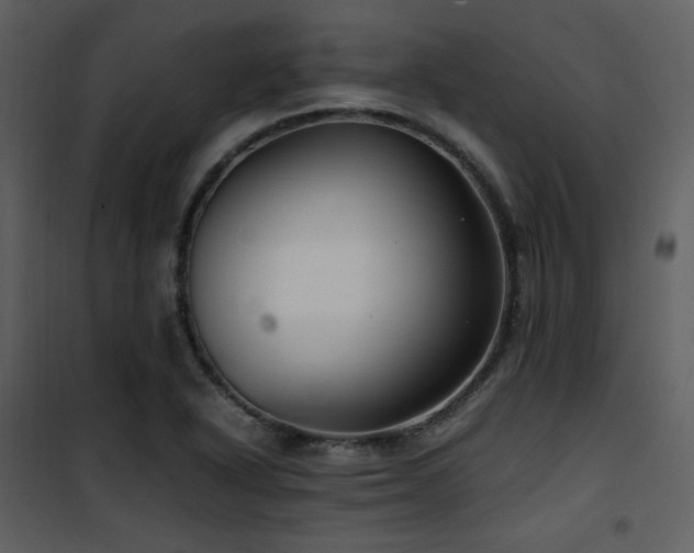 X0000102011318200807181219
