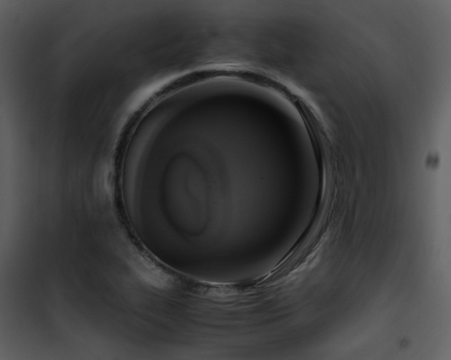 X0000102011319200807181219