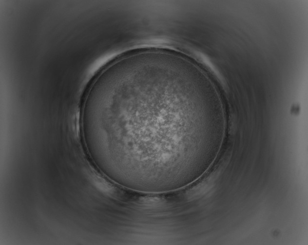X0000102011320200807181219