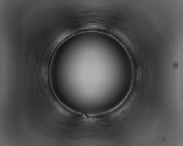 X0000102011321200807181219