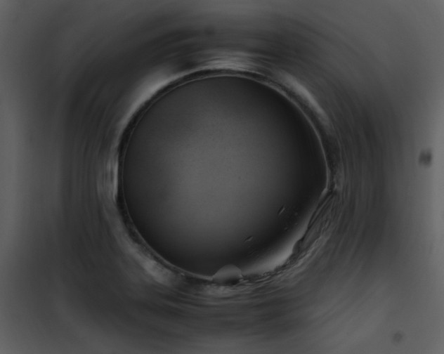 X0000102011323200807181219