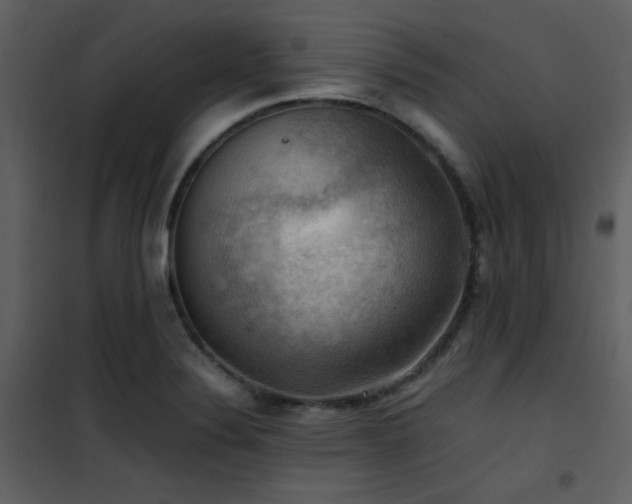 X0000102011324200807181219