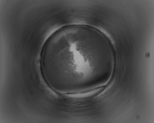 X0000102011325200807181219