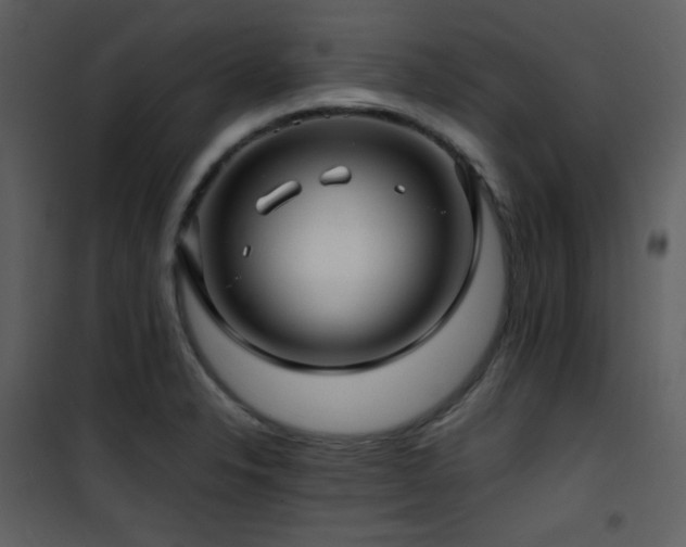 X0000102011326200807181219