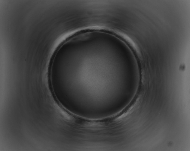 X0000102011327200807181219