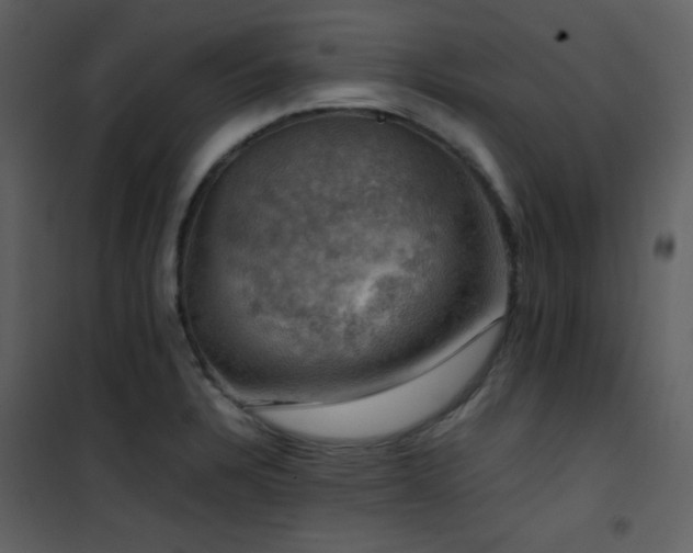 X0000102011328200807181219