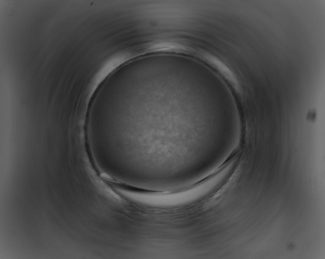 X0000102011330200807181219