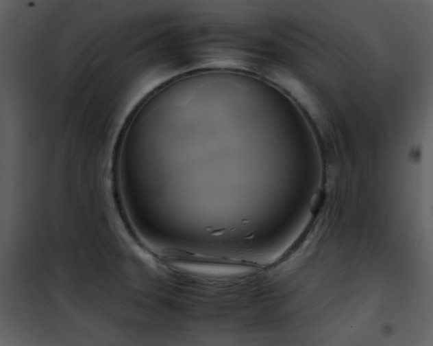 X0000102011331200807181219