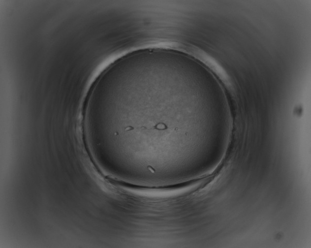 X0000102011332200807181219
