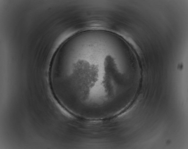 X0000102011333200807181219