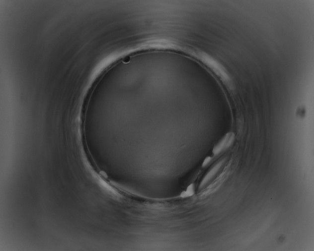 X0000102011334200807181219