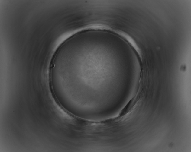 X0000102011335200807181219