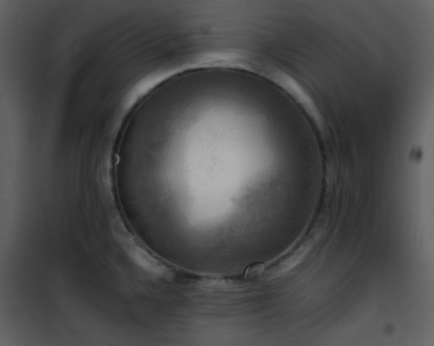 X0000102011336200807181219