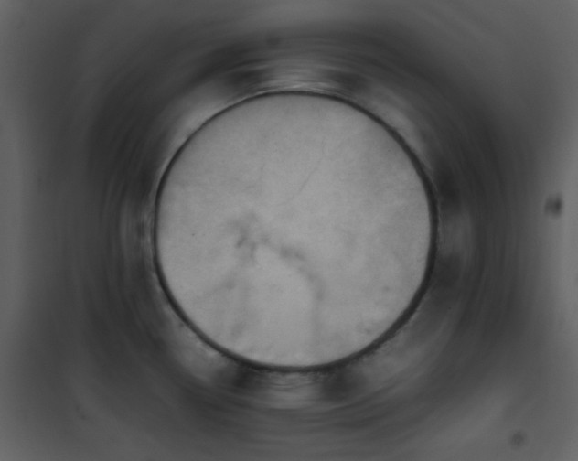X0000102011338200807181219