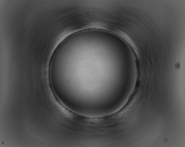 X0000102011339200807181219