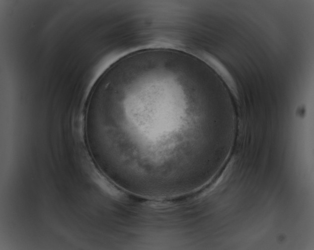 X0000102011340200807181219
