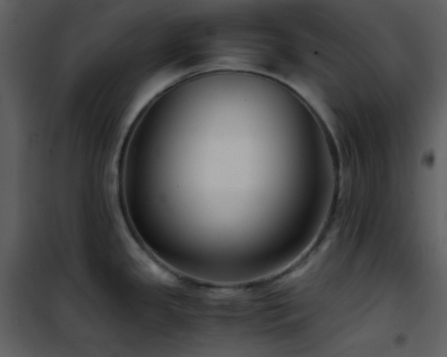 X0000102011341200807181219