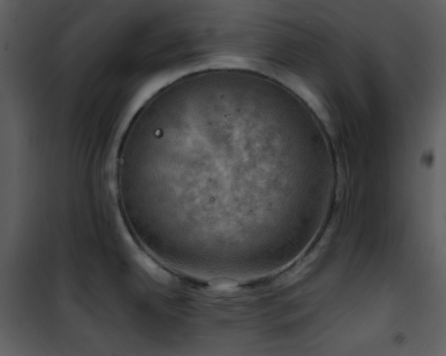 X0000102011342200807181219